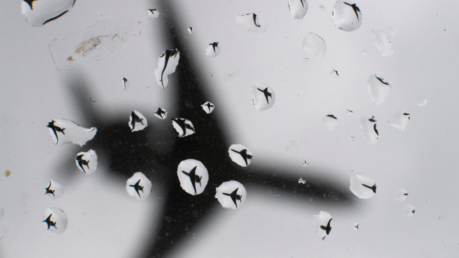 Fließem’de Tek Motorlu Uçak Kazası: İki Kişi Hayatını Kaybetti, © Julian Stratenschulte/dpa