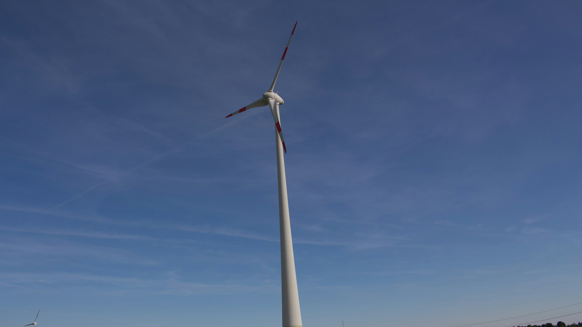 © Unsplash/Markus Petrykowski