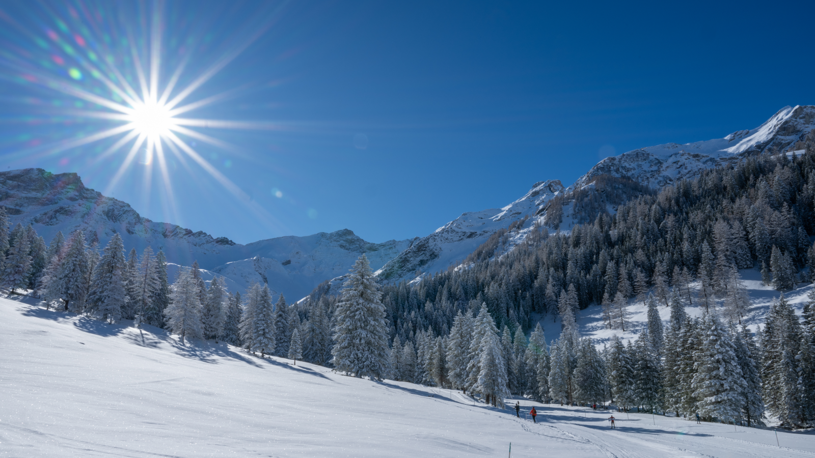 Valünalopp beendet gelungene Saison , © Vorstand Verein Valünalopp