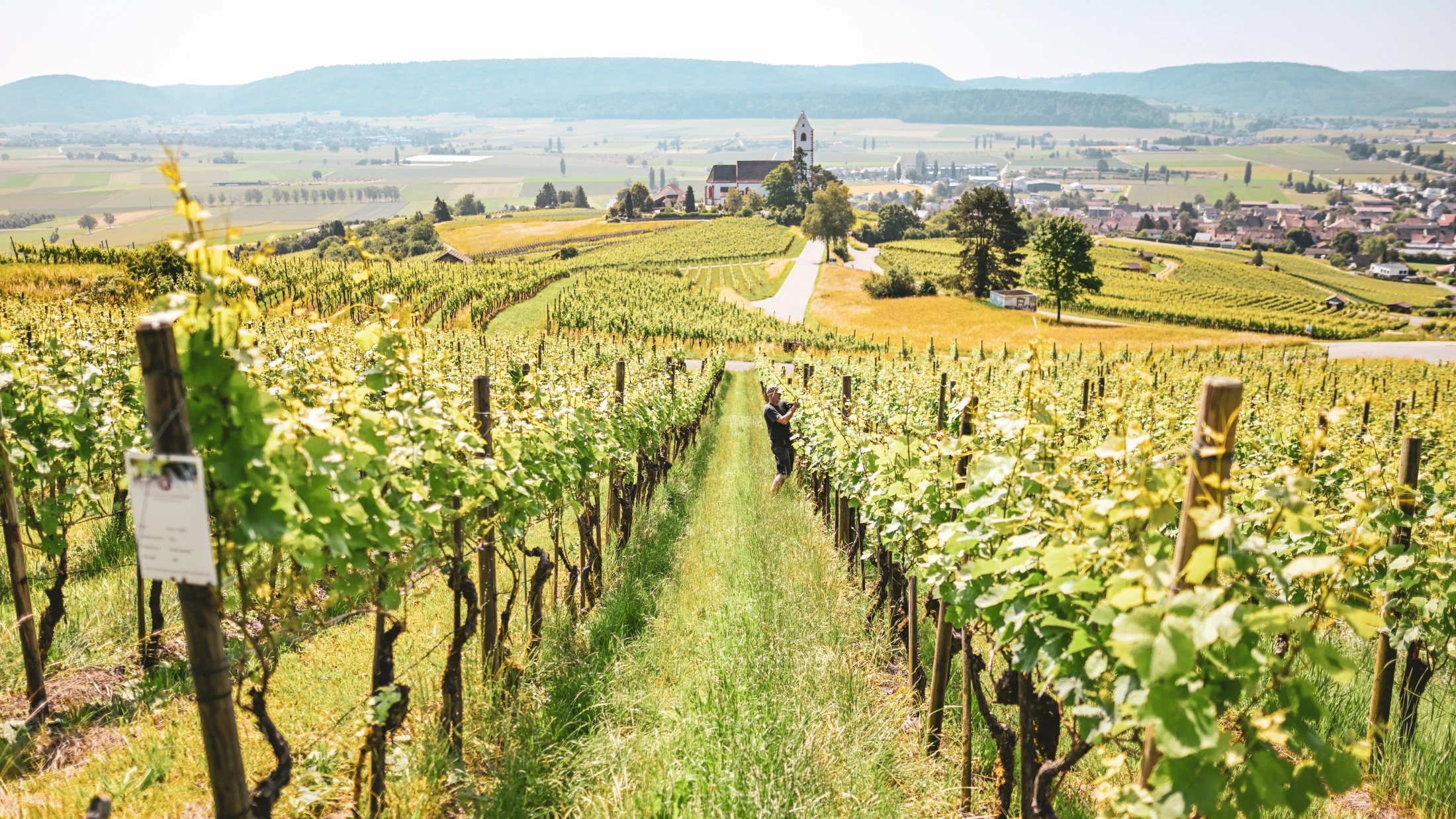 © Melanie Duchene / Schaffhauser Nachrichten © Melanie Duchene / Schaffhauser Nachrichten