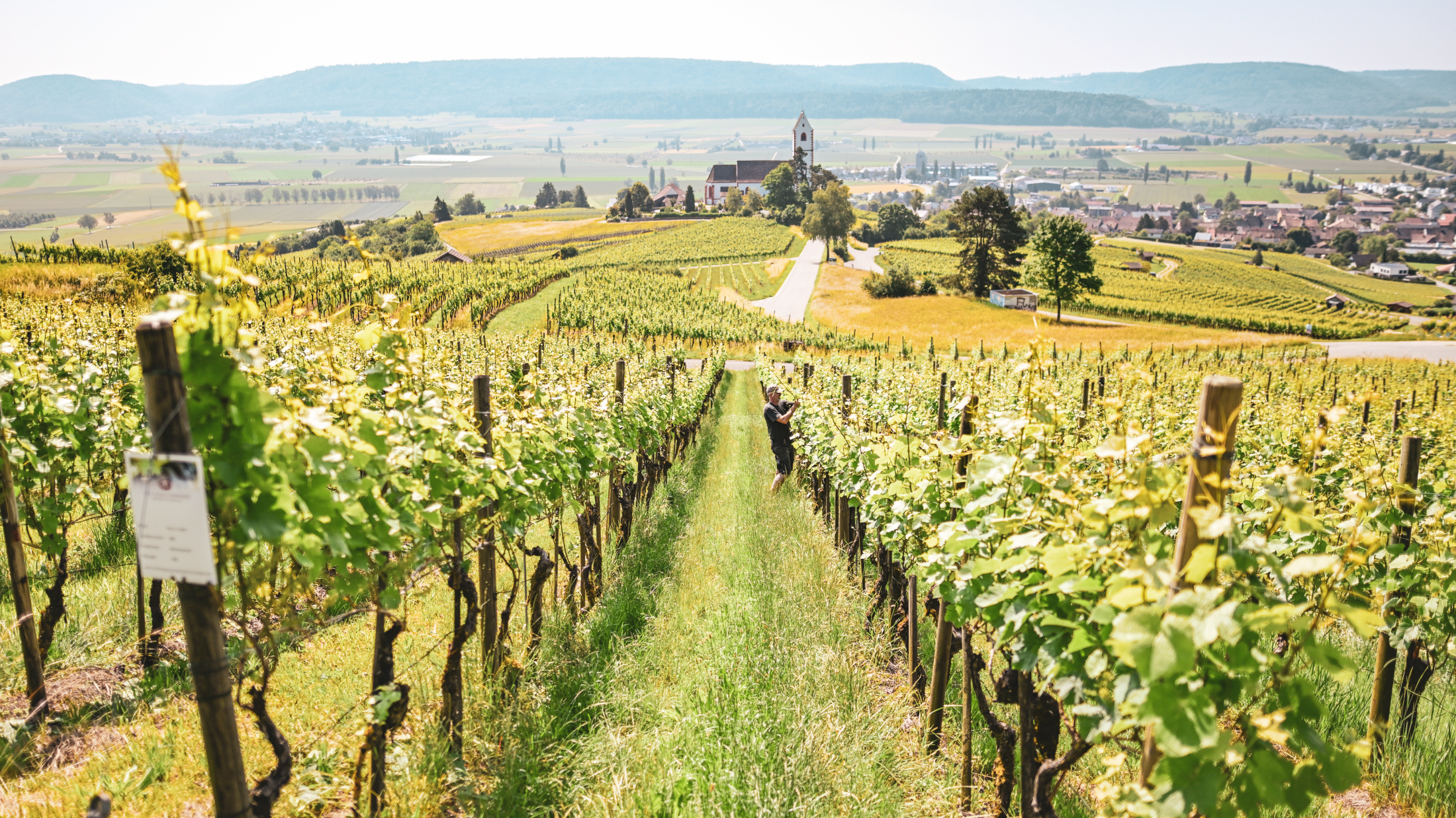 © Melanie Duchene / Schaffhauser Nachrichten