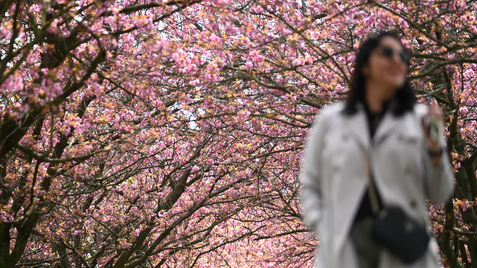 Berlin’de Yaz Gibi Bahar Havası: Sıcaklıklar 28 Dereceye Kadar Çıkacak!, © Lilli Förter/dpa Berlin’de Yaz Gibi Bahar Havası: Sıcaklıklar 28 Dereceye Kadar Çıkacak!, © Lilli Förter/dpa