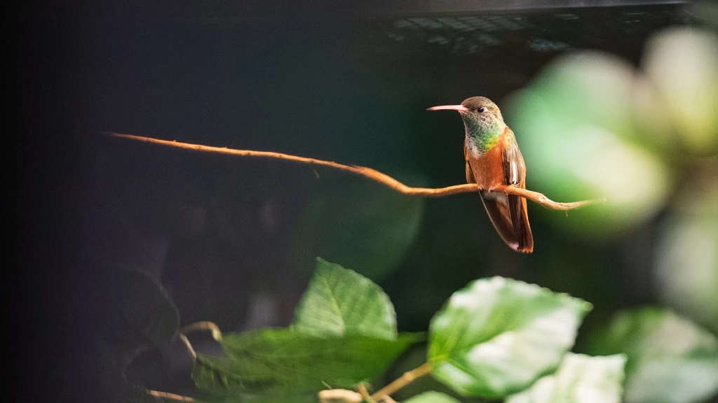 © Zoo Basel © Zoo Basel