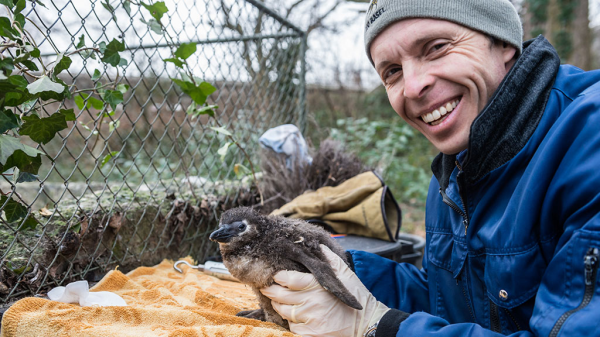Wenn im Basler Zolli gehustet und geschnupft wird, © Zoo Basel