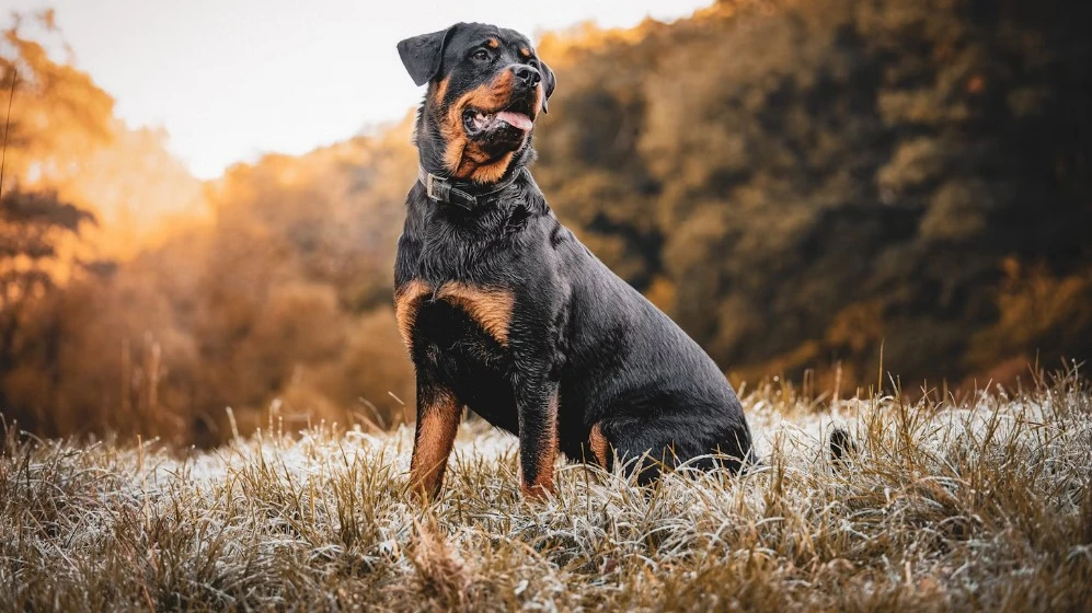 © Bild: Unsplash / Kevin Seibel © Bild: Unsplash / Kevin Seibel