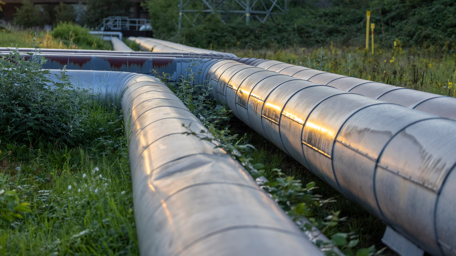 Thermische Grundwassernutzung Haberfeld, © Keystone / DPA / Thomas Banneyer / Symbolbild