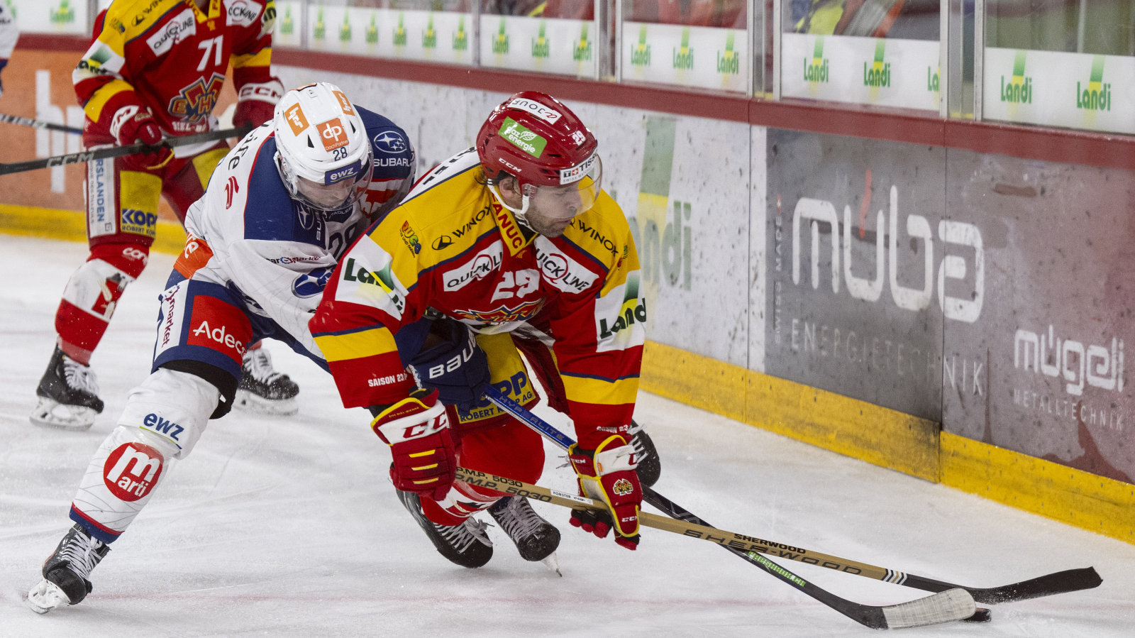 ZSC und Fribourg siegen, © Keystone-SDA