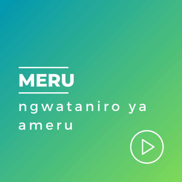 Play MERU Live, © 2024