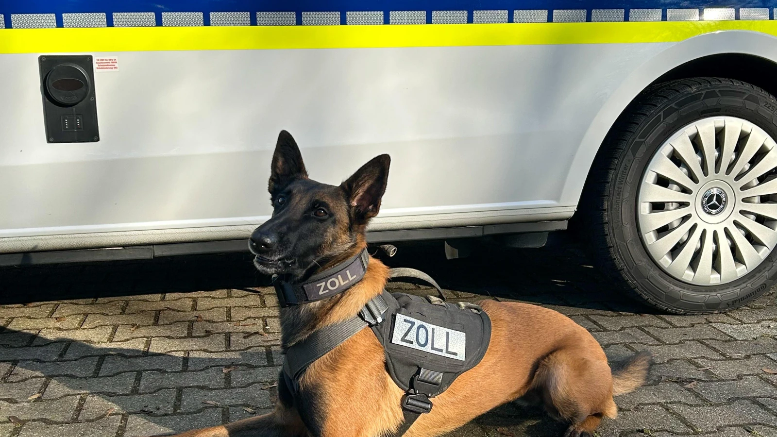 Gümrük Köpeği 'Frieda' 50 Kilogram Uyuşturucu Tespit Etti, © dpa Gümrük Köpeği 'Frieda' 50 Kilogram Uyuşturucu Tespit Etti, © dpa