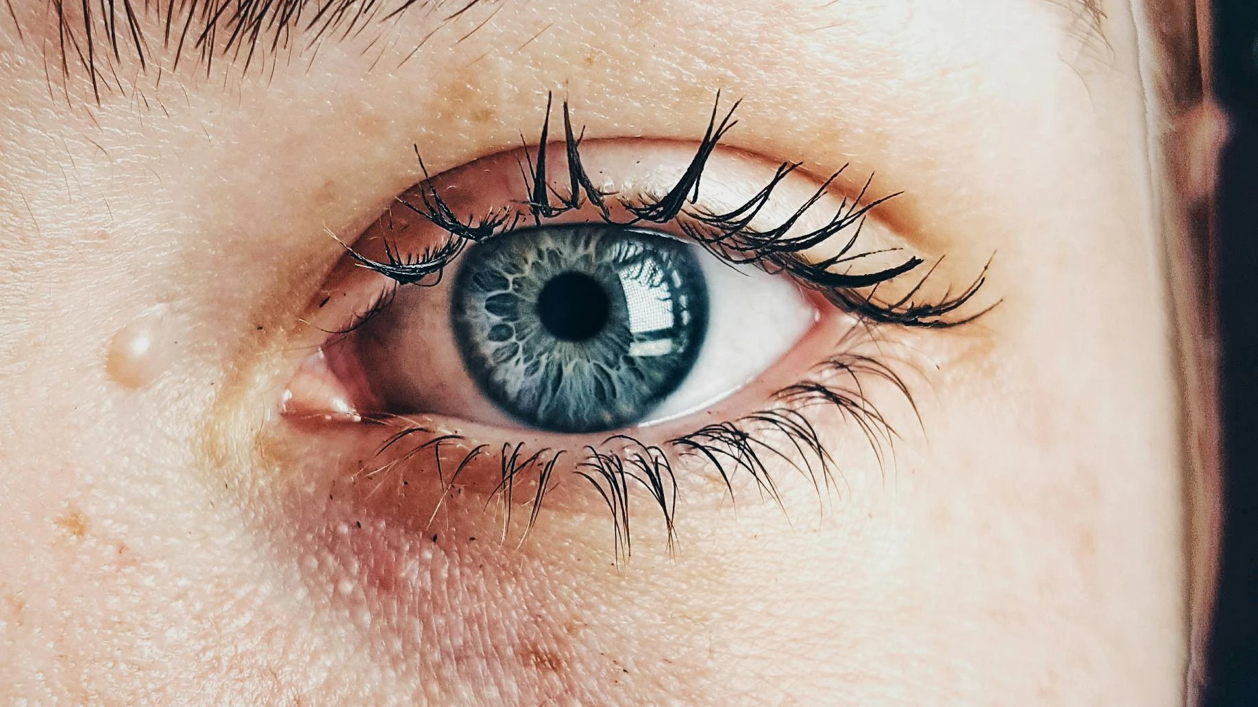 © Almada Studio © Almada Studio