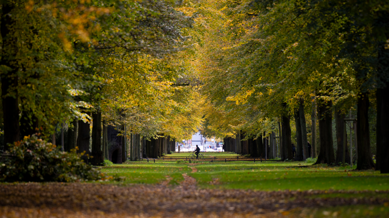 Berlin ve Brandenburg'da Güneşli Sonbahar Havası!, © dpa