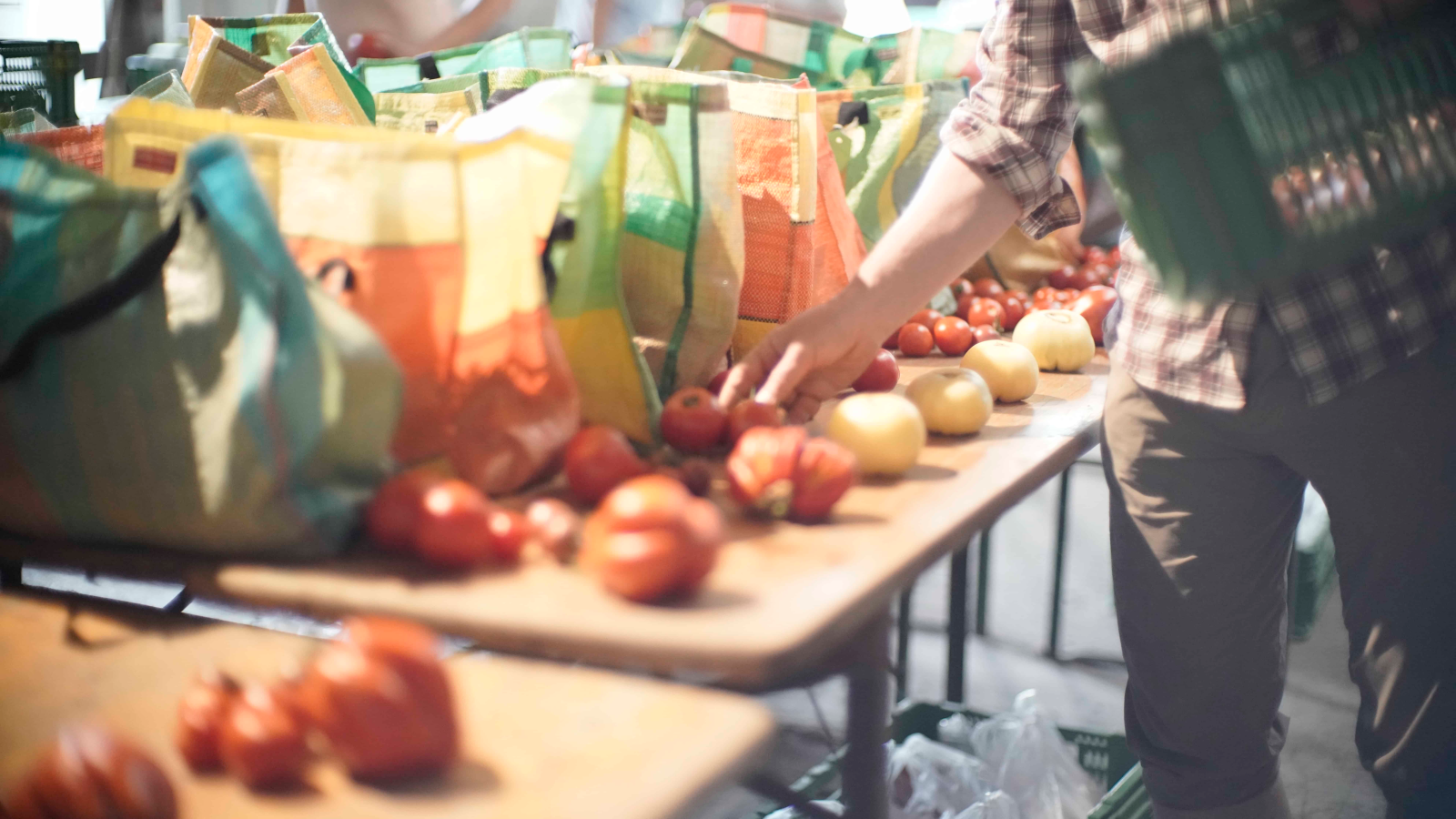 KRUUT & HOBEL, © ZVG