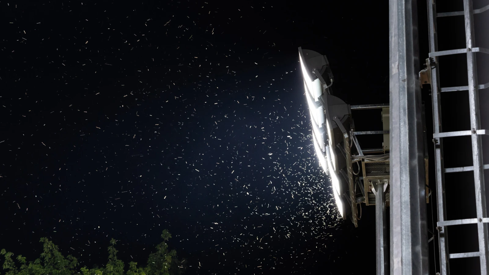 Mückenalarm: Diese Faktoren machen dich zum perfekten Ziel!, © DimaBerlin Shutterstock Mückenalarm: Diese Faktoren machen dich zum perfekten Ziel!, © DimaBerlin Shutterstock