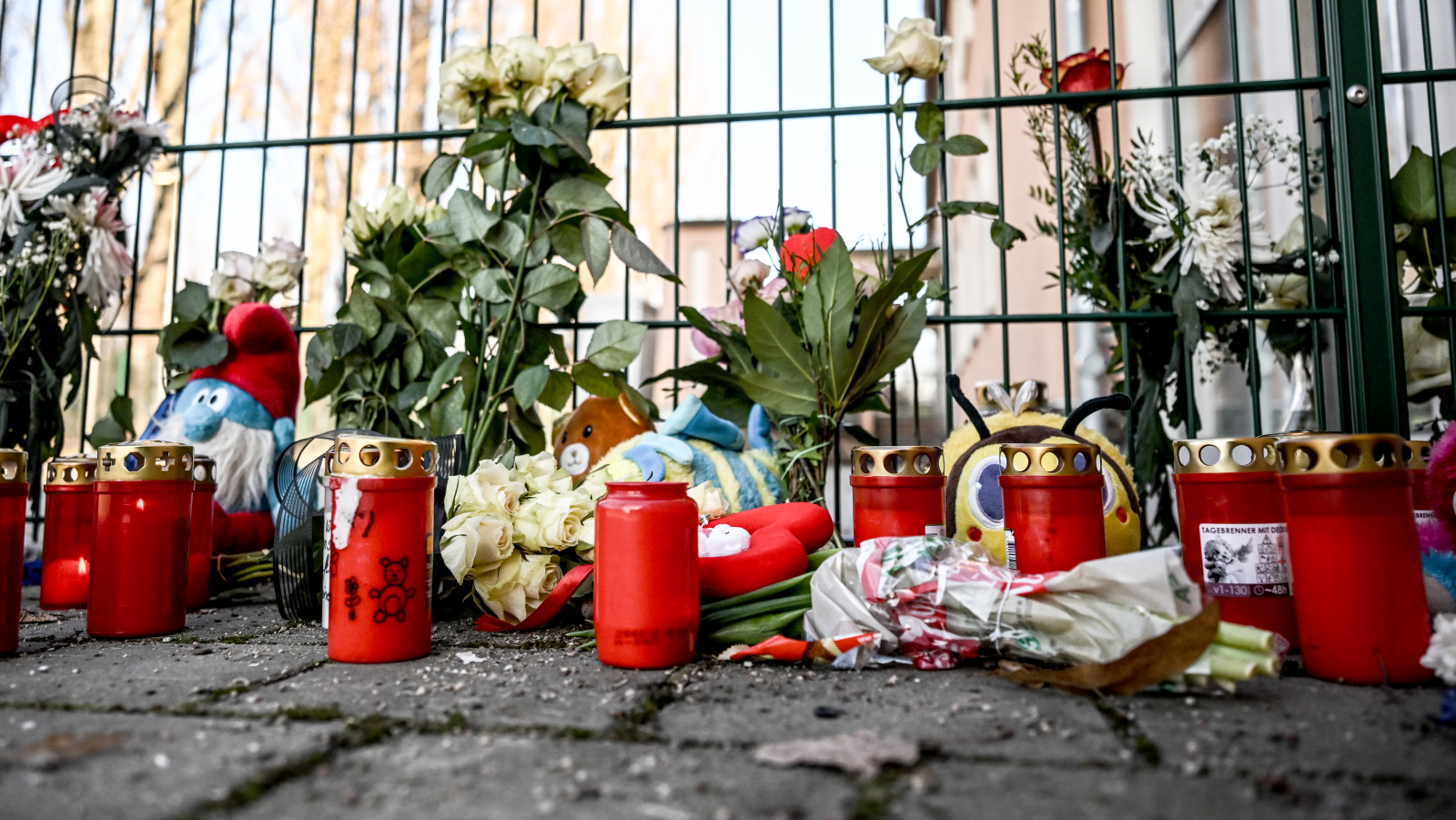 Polis doğruladı, 5 yaşındaki çocuk kapının altında kalarak hayatını kaybetti, © Britta Pedersen/dpa