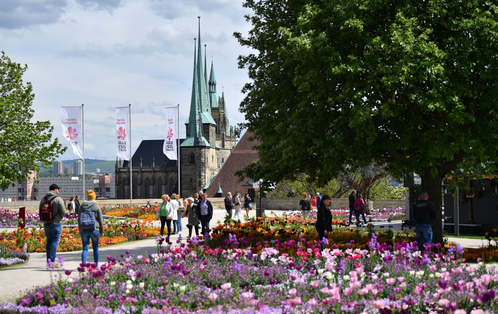 Besucher gehen unweit vom Mariendom und der Severikirche über das Gelände der Bundesgartenschau im Egapark auf dem Petersberg.