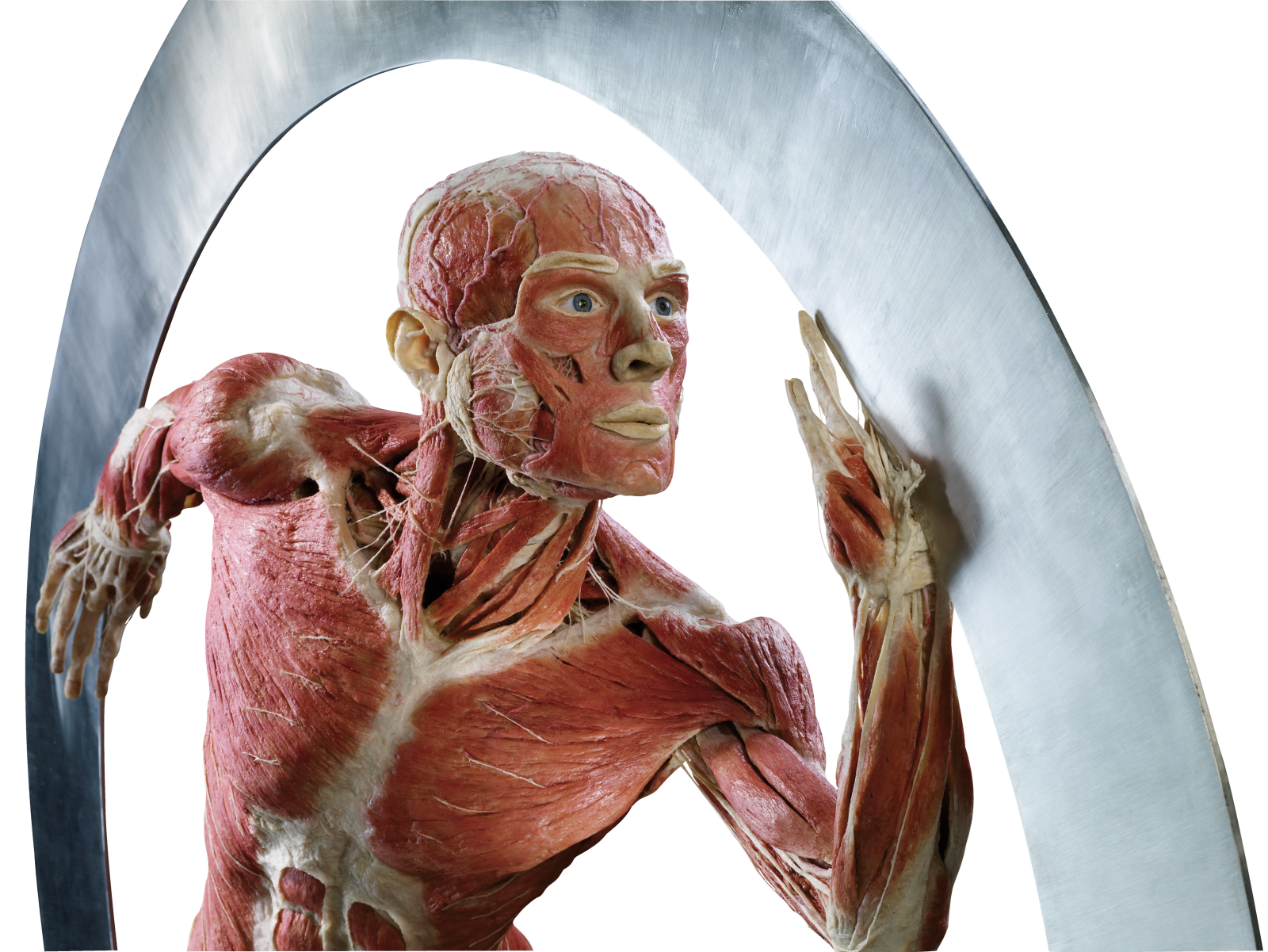 Innovation und Inspiration | Plastinarium Guben