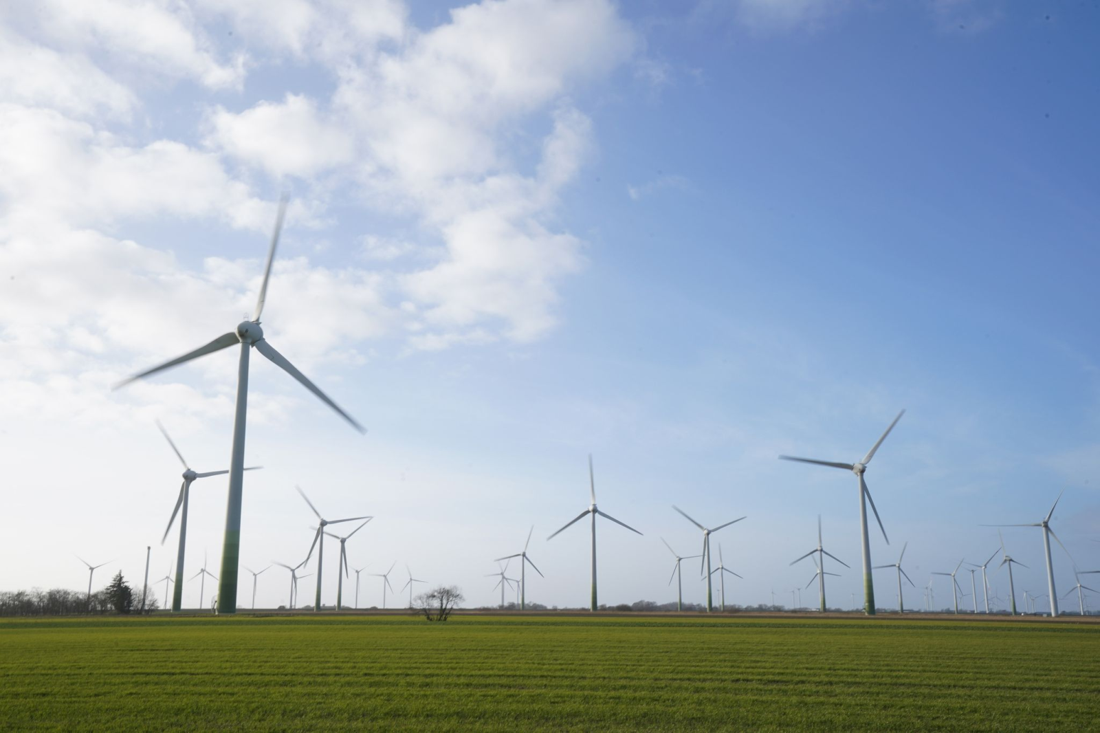 Windenergieanlagen stehen auf einem Feld., © Marcus Brandt/dpa/Symbolbild