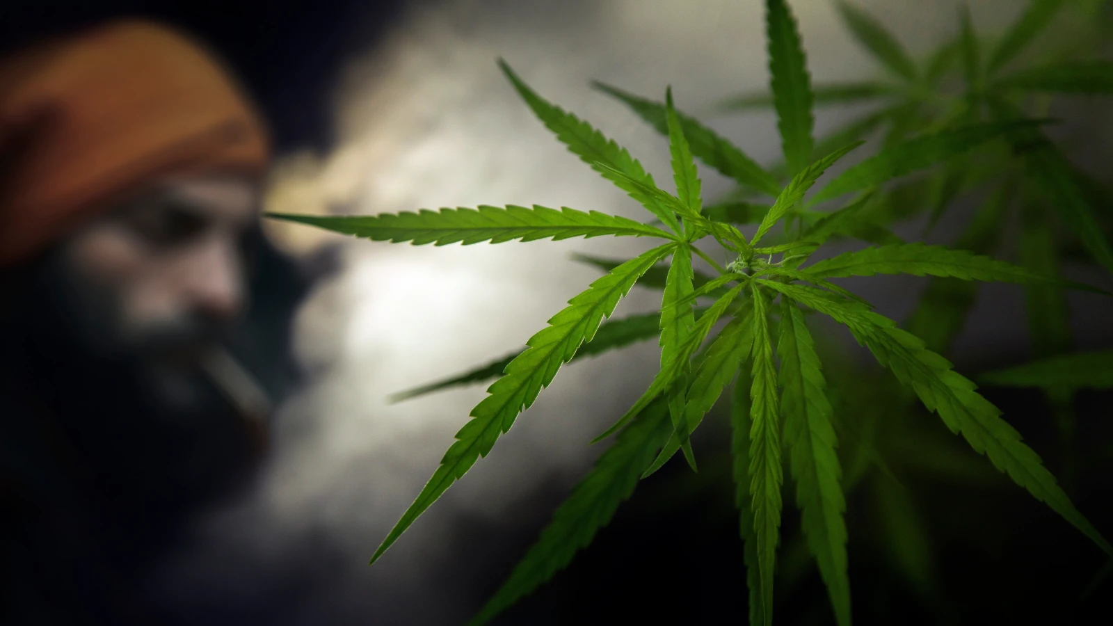 Frankfurt, © shutterstock Frankfurt, © shutterstock