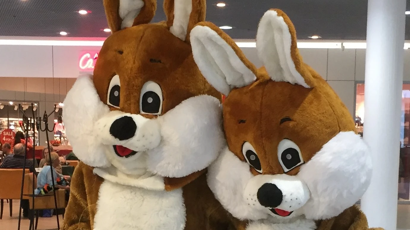 Osterhase zu Besuch, © ZVG Osterhase zu Besuch, © ZVG