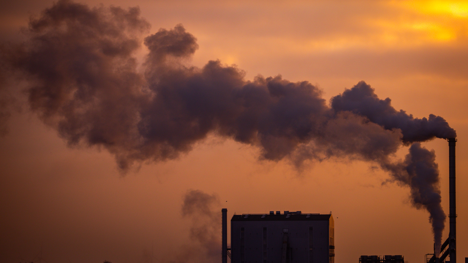 İklim Değişiklikleri İnsan Hayatını Etkiliyor!, © dpa
