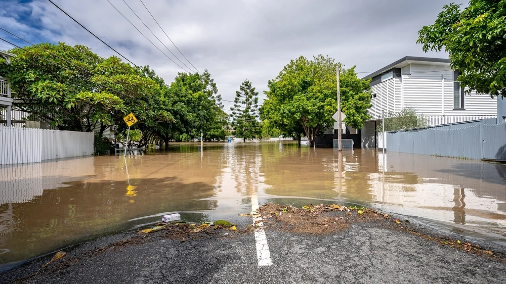 Başbakan Olaf Scholz sel bölgesinde!, © shutterstock Başbakan Olaf Scholz sel bölgesinde!, © shutterstock
