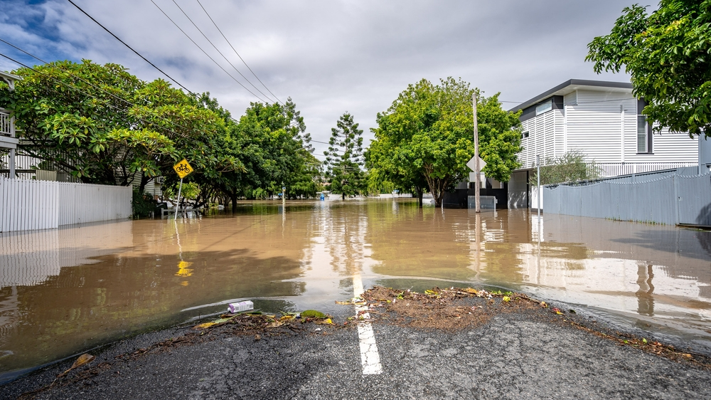 Başbakan Olaf Scholz sel bölgesinde!, © shutterstock