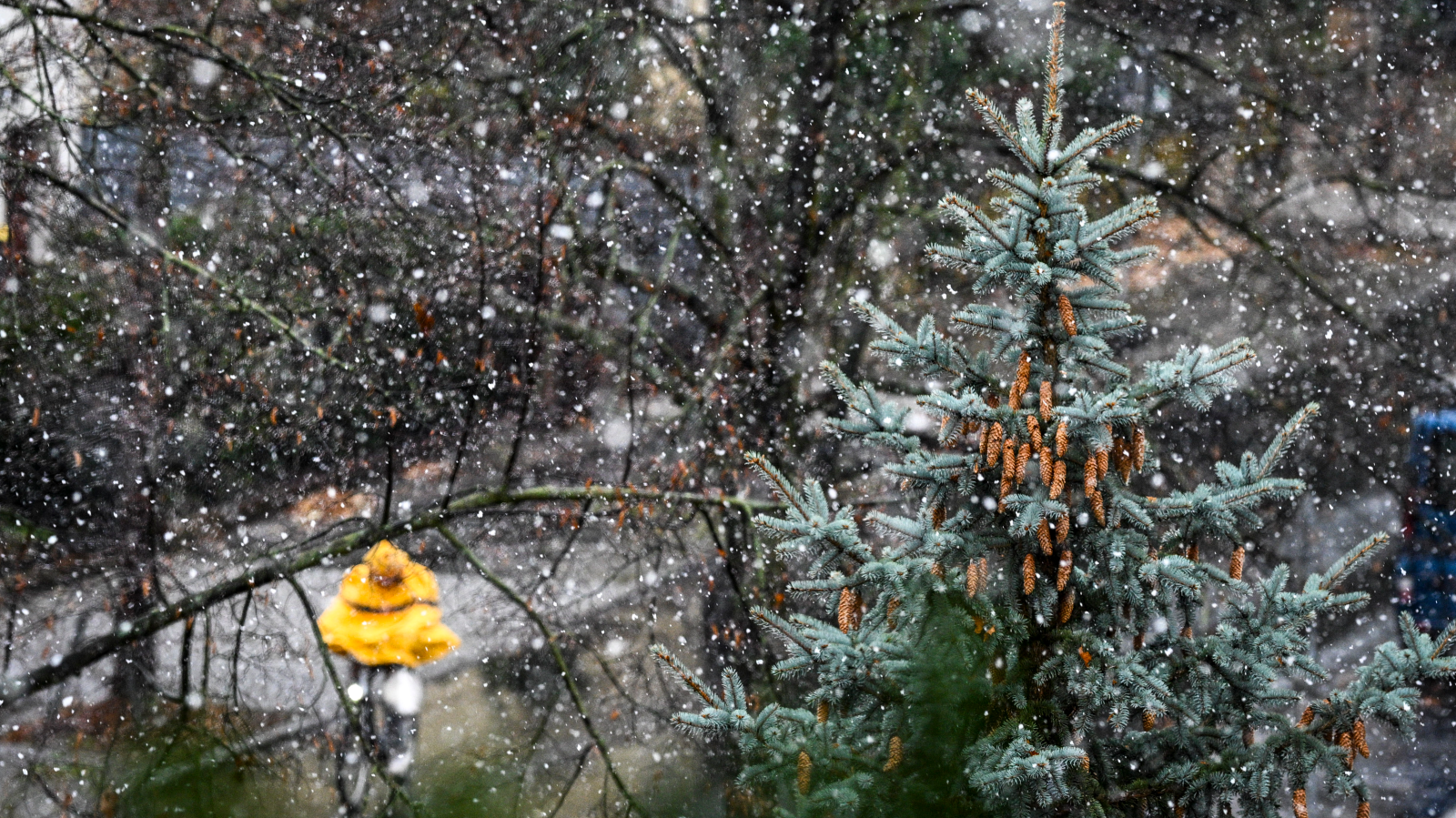 Berlin'de Kar Yağışı Bekleniyor: Dikkat, Yollar Kaygan Olabilir!, © dpa