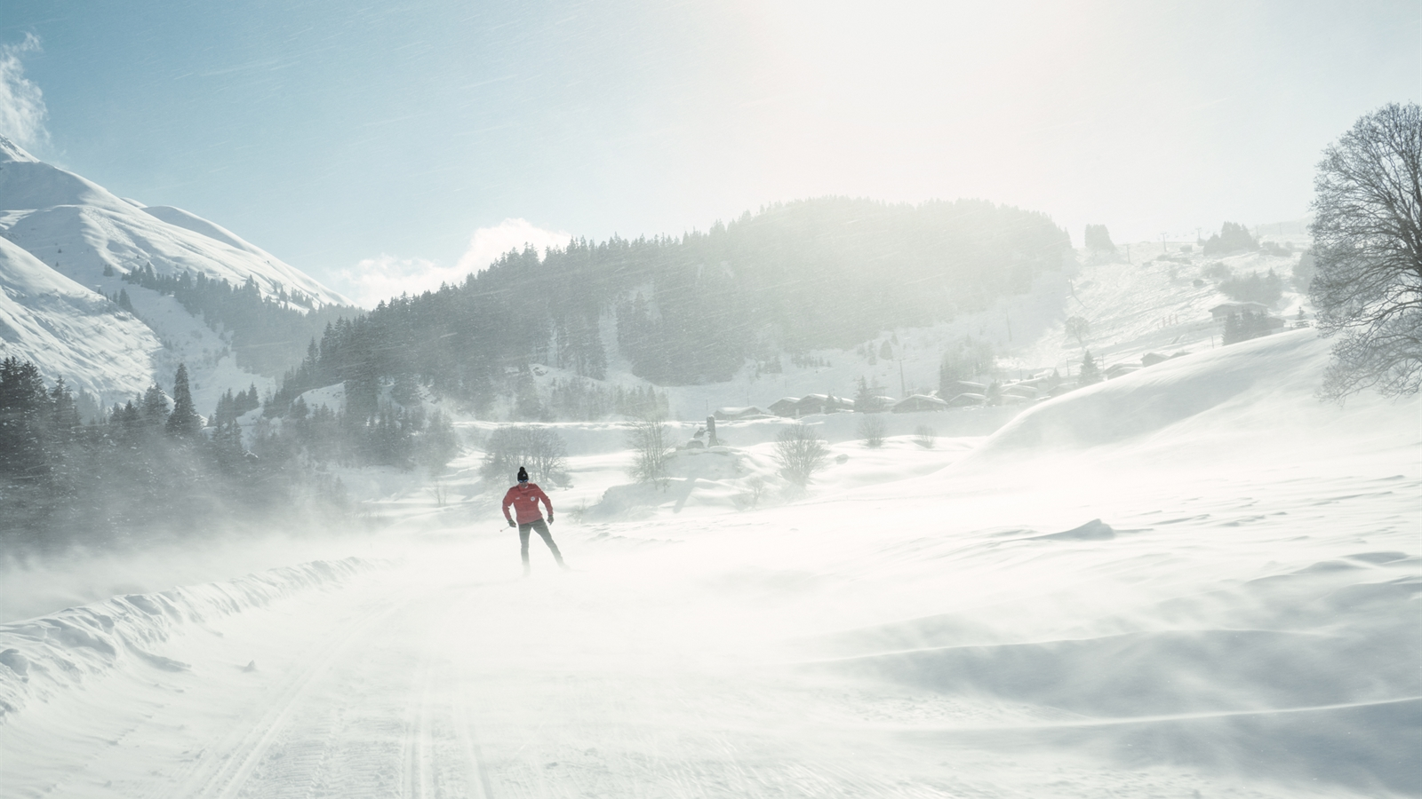 Graubünden will bekannteste Langlaufregion werden, © Kanton Graubünden / Stefan Schlumpf