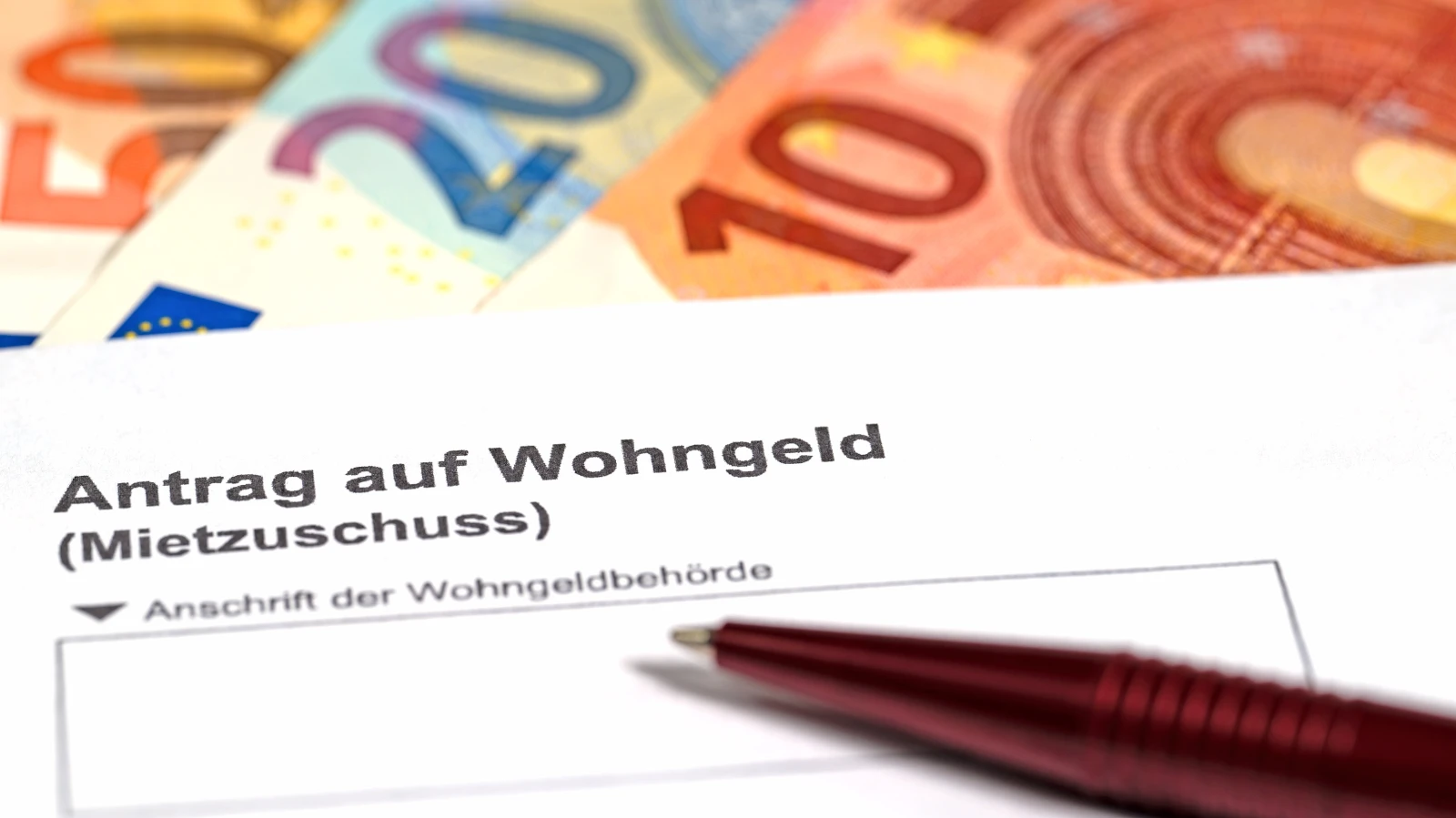 Shutterstock, © Shutterstock Shutterstock, © Shutterstock