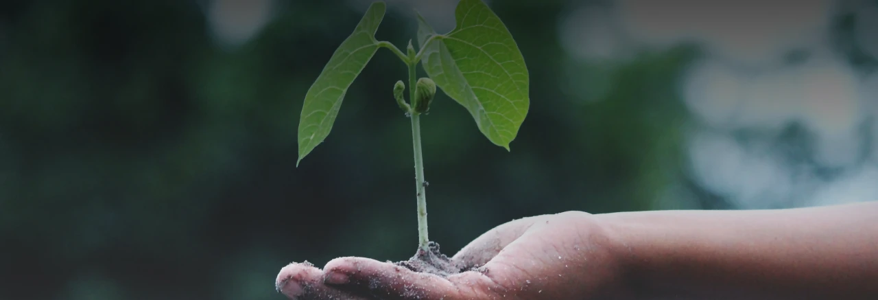 © radiosphere © radiosphere