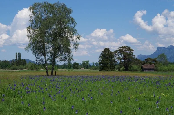 © Gemeinde Ruggell © Gemeinde Ruggell