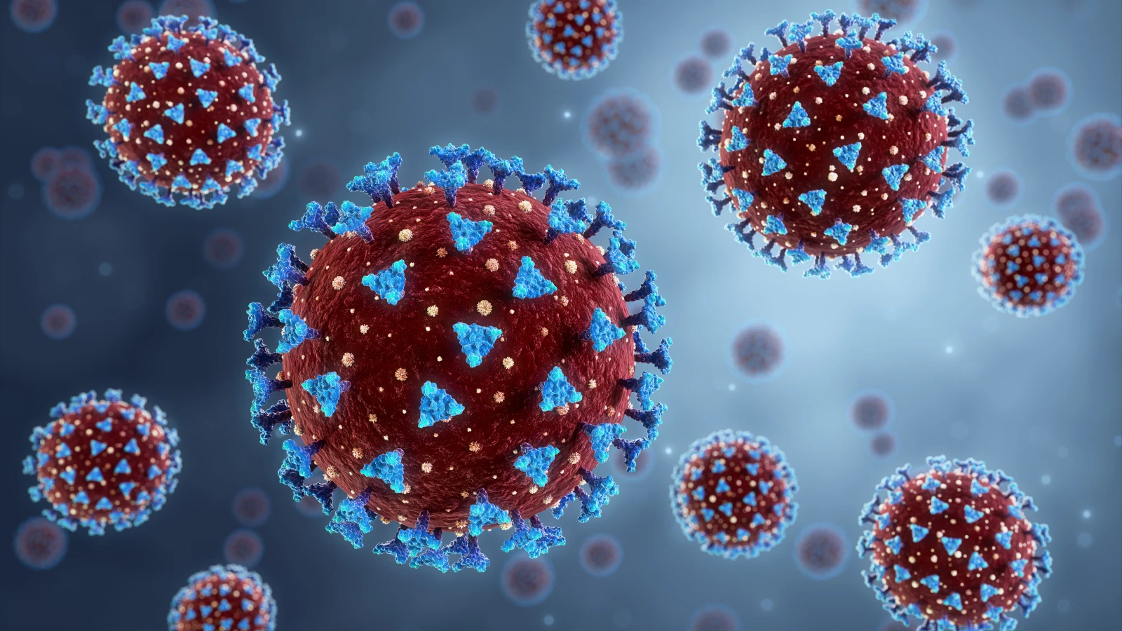 Shutterstock, © Shutterstock Shutterstock, © Shutterstock