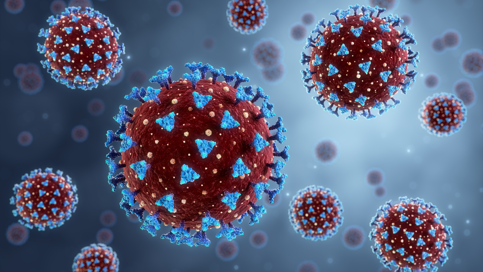 Shutterstock, © Shutterstock