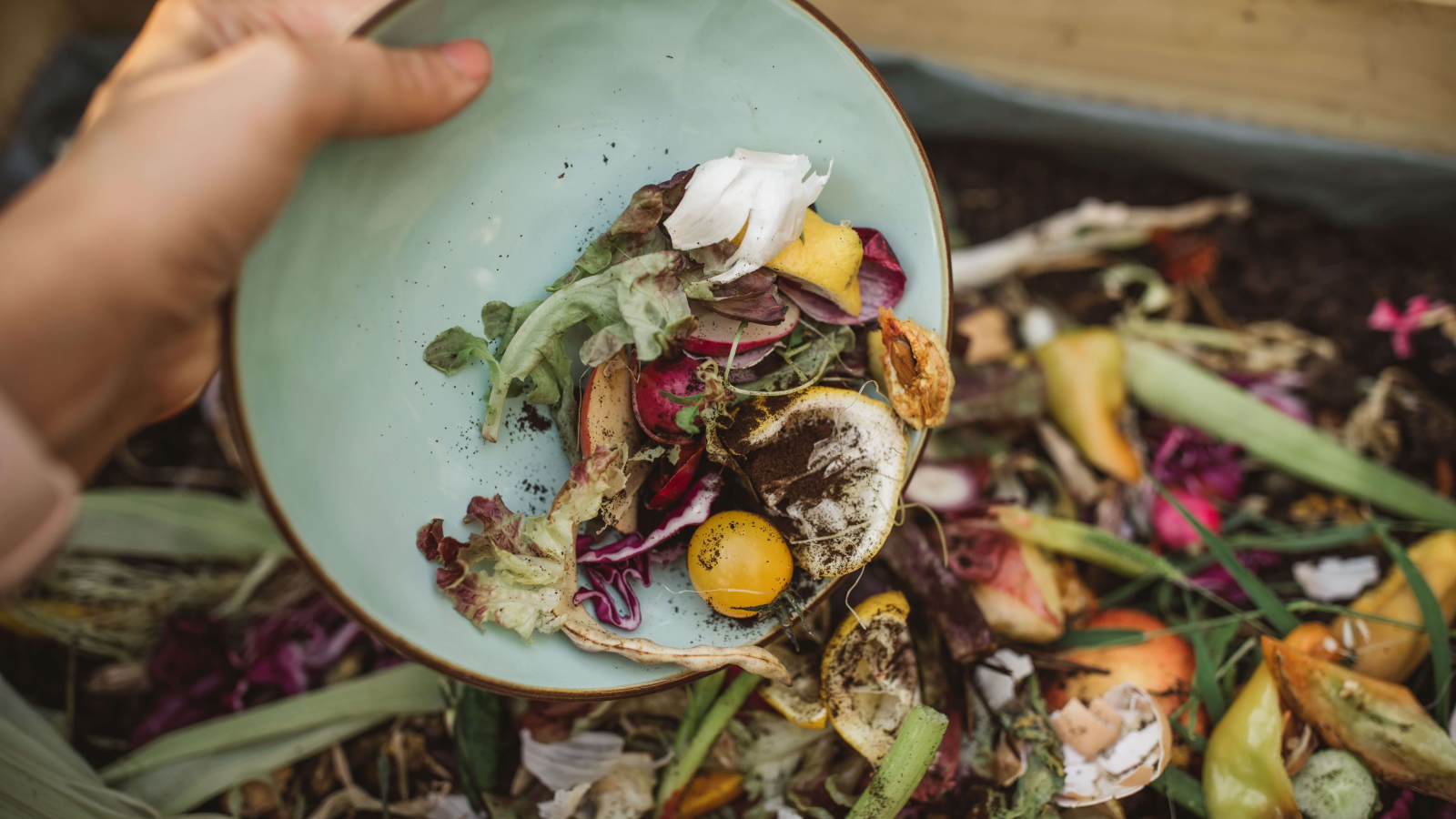 60 Prozent des Food Waste verursachen Haushalte, © infothek-biomasse.ch / IEA Bioenergy