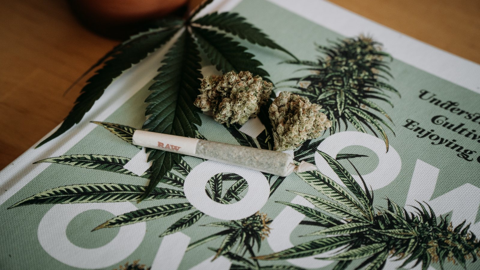 Cannabis-Kontrollen an den Grenzen, © Unsplash/Shelby Ireland