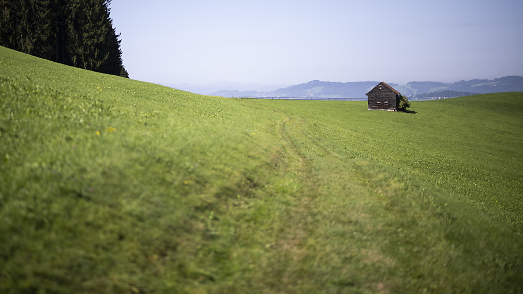 Finanzhilfe für PFAS-betroffene Bauernbetriebe im Kanton St. Gallen, © Keystone/SDA