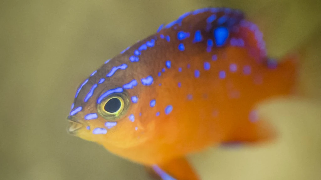 © Zoo Basel © Zoo Basel