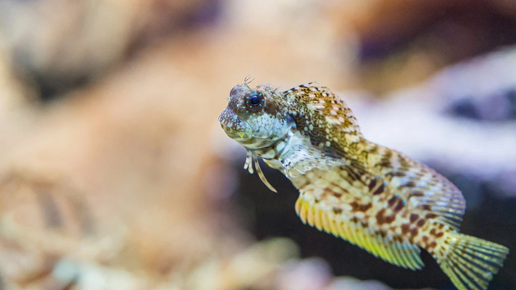 © Zoo Basel © Zoo Basel