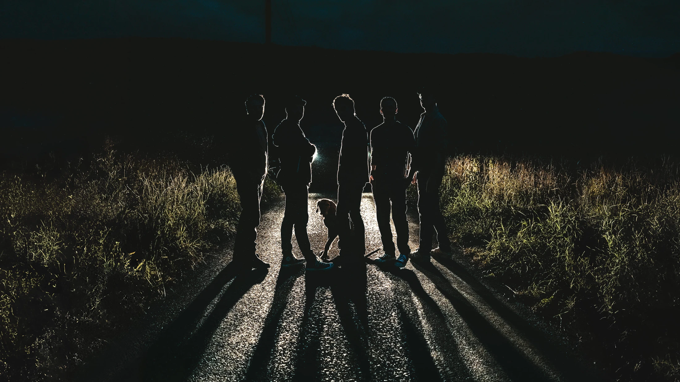 © Lovebugs © Lovebugs