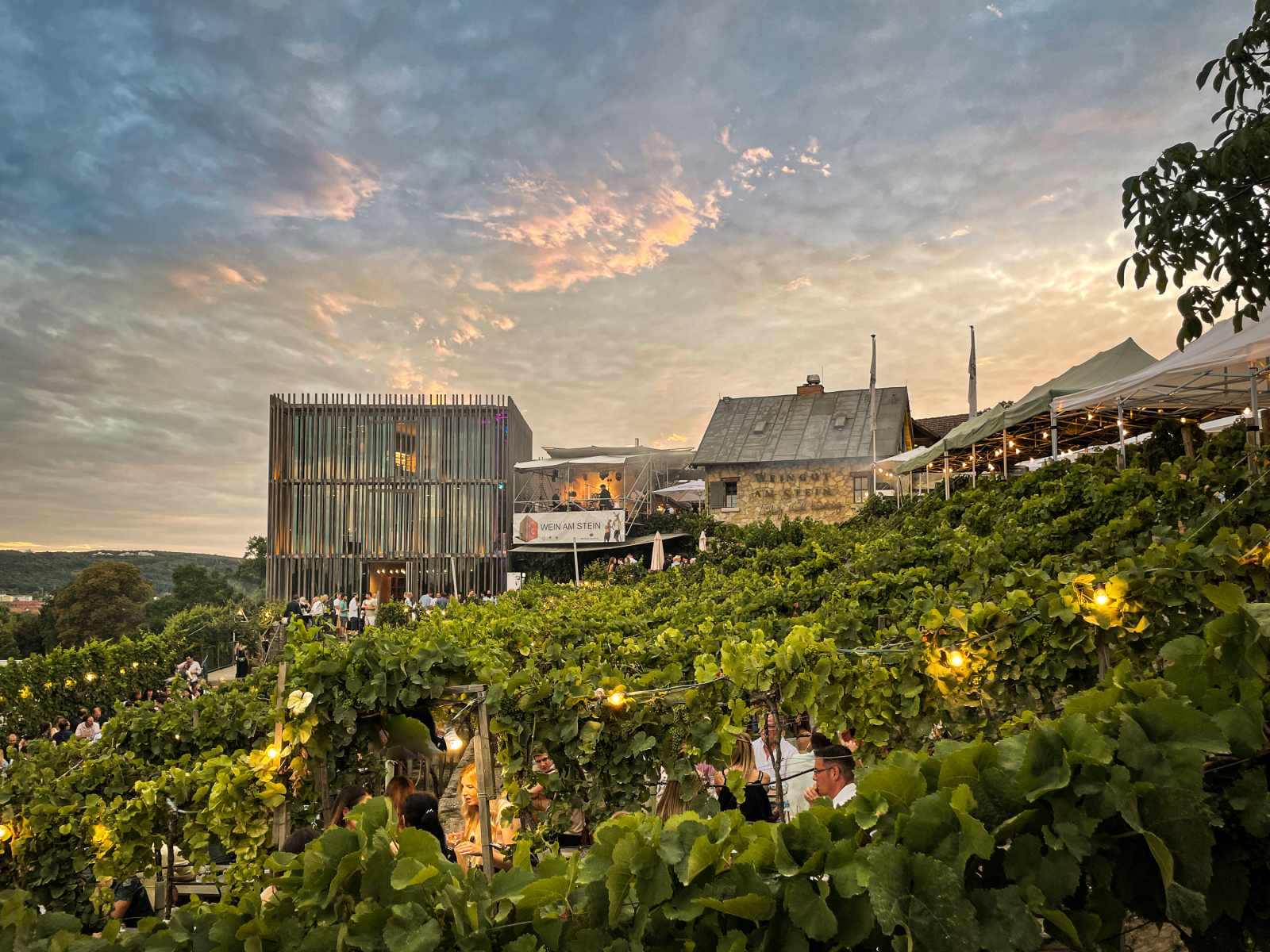 WEIN AM STEIN 2024, © Foto by Simon Balzer