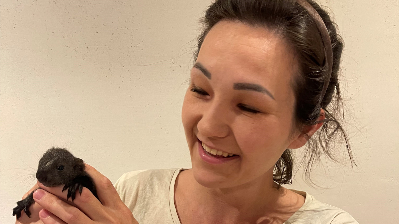 Land zieht Förderzusage für Wildtierstation zurück, © Wildtierhilfe Vorarlberg