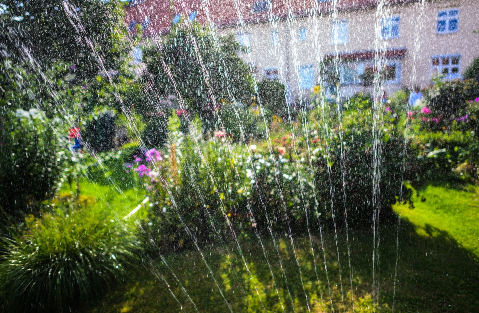 Ein Wassersprenger bewässert den Garten eines Reihenhauses.