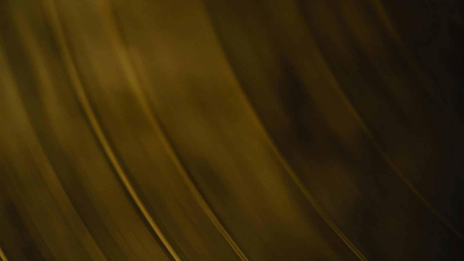 SPIRAL CORE, Free, © Eva Bronzini SPIRAL CORE, Free, © Eva Bronzini