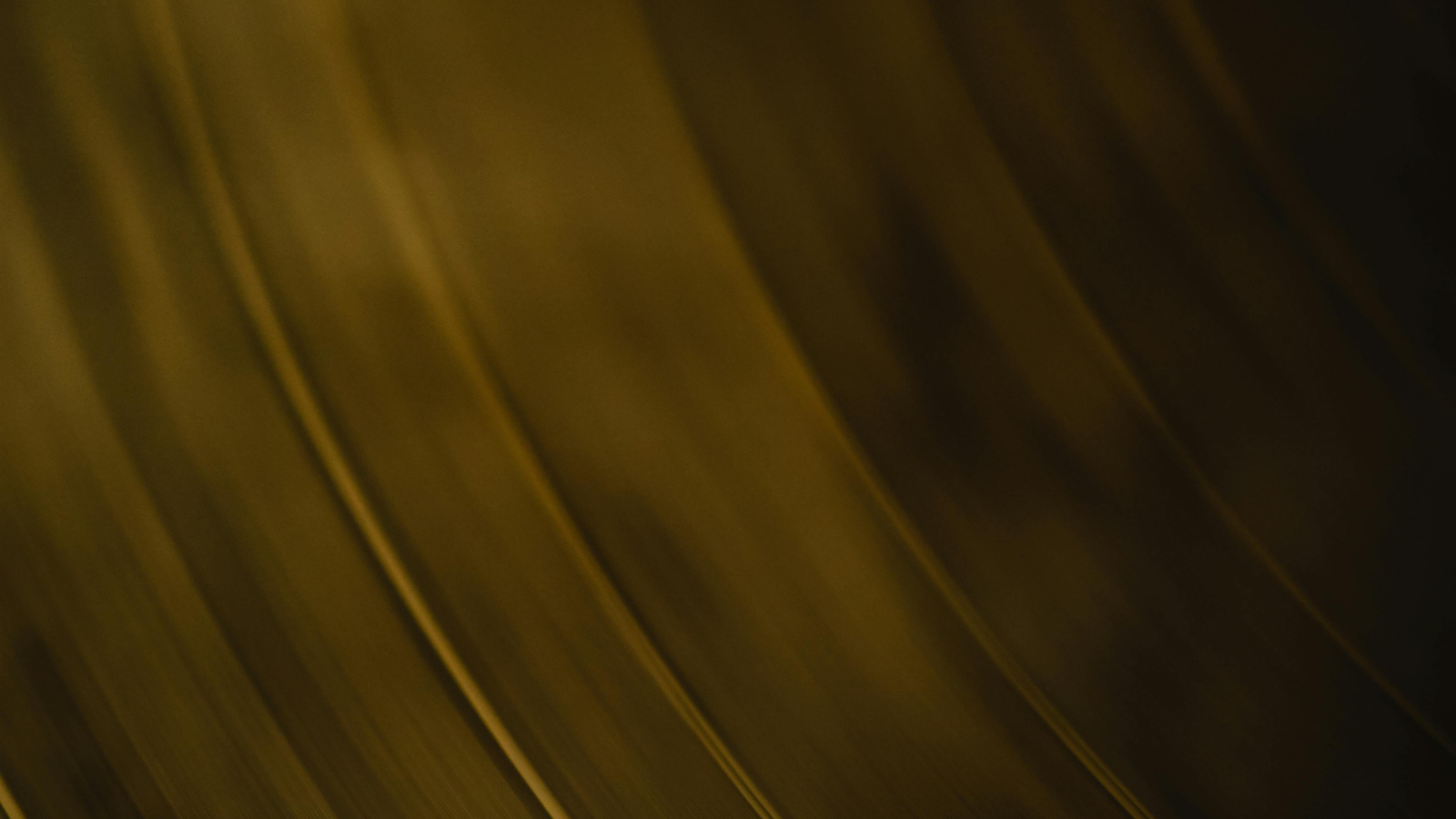 SPIRAL CORE, Free, © Eva Bronzini