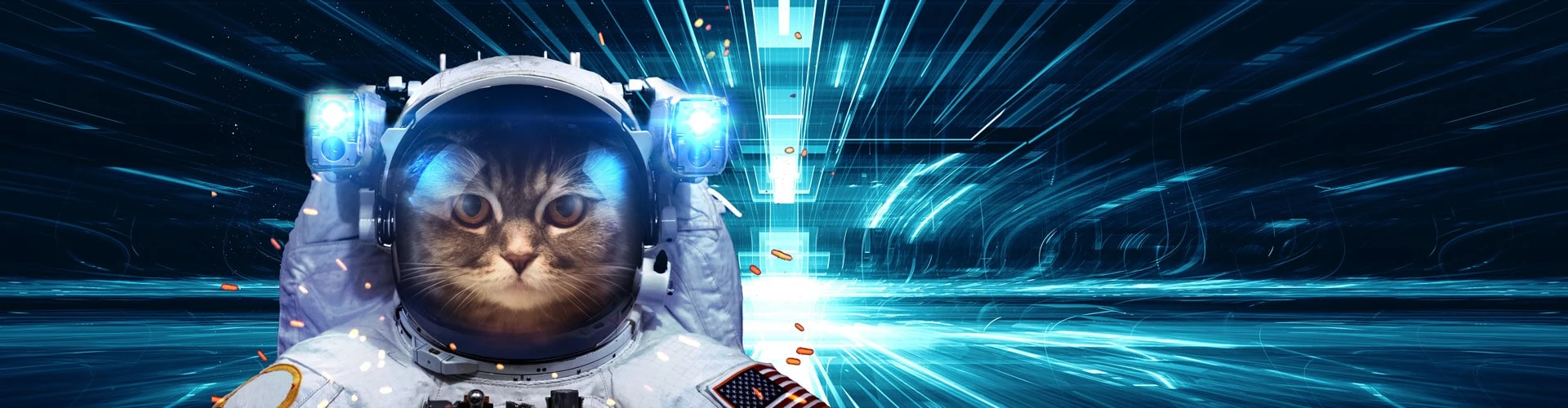 Katze als Astronaut, © Shutterstock Katze als Astronaut, © Shutterstock