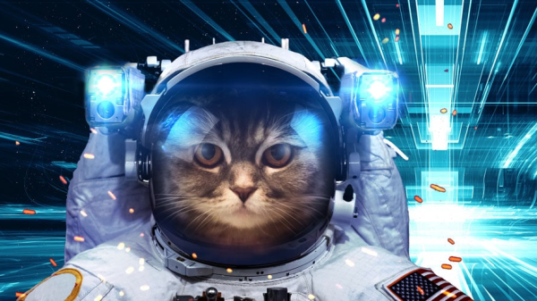 Katze als Astronaut, © Shutterstock
