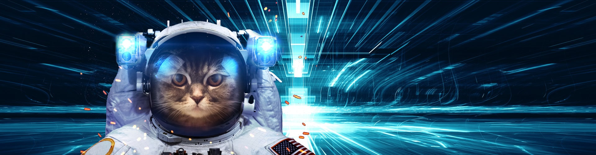 Katze als Astronaut, © Shutterstock