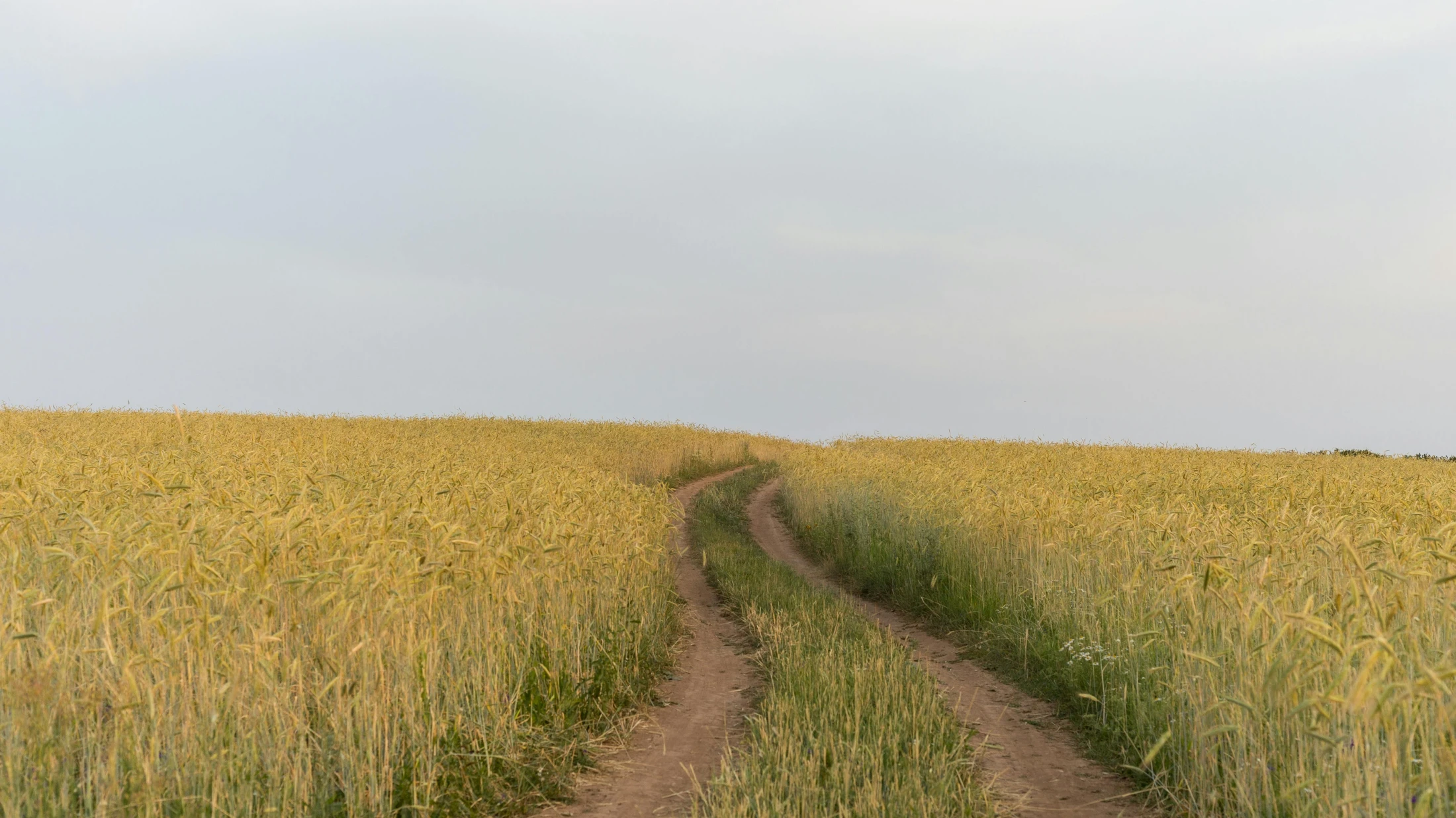 © Nikolay Danilov © Nikolay Danilov