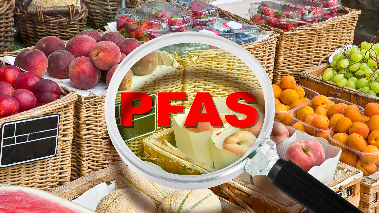 “Sonsuz Kimyasallar” PFAS: Küresel Bir Sağlık Tehdidi, © shutterstock