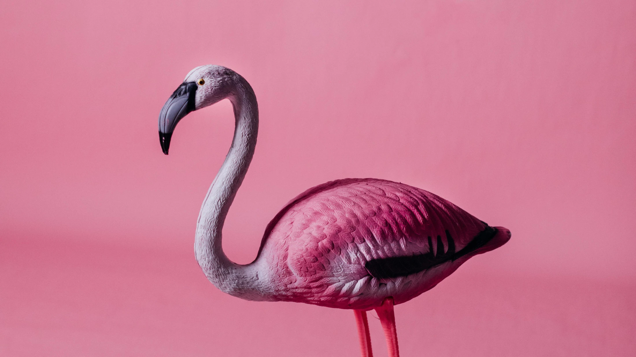 © KoolShooters © KoolShooters